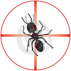 Put A Target on Pests!