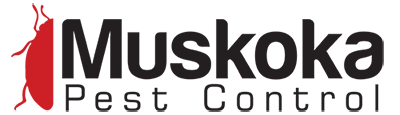 Muskoka Pest Control